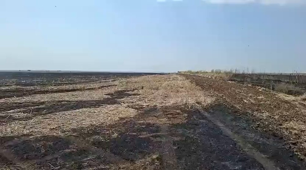 Incendiu de vegetație la limita județelor Ilfov și Giurgiu, pe o suprafaţă de 40 de hectare