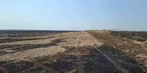 WhatsApp Video 2025 08 12 at 13 00 46 mp4 thumbnail png