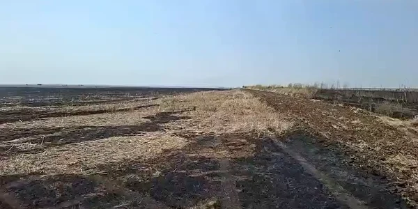WhatsApp Video 2025 08 12 at 13 00 46 mp4 thumbnail png