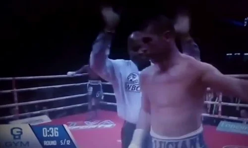 lucian bute ko jpeg