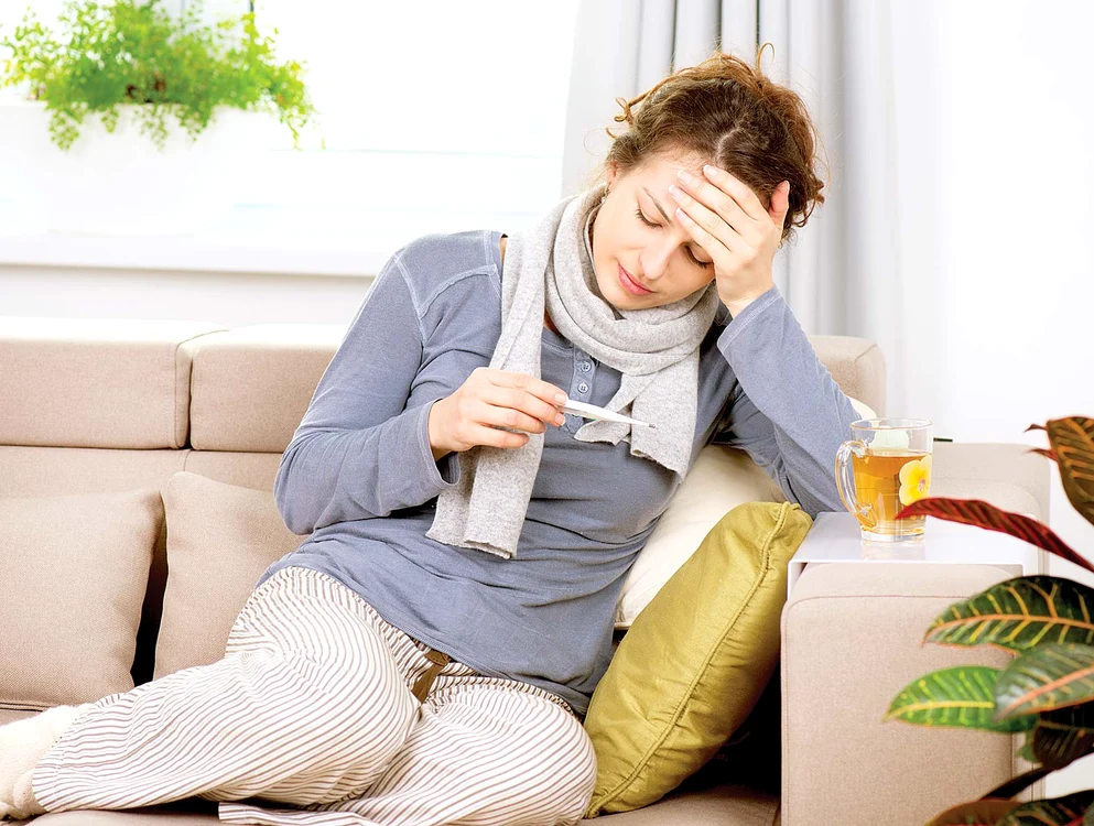 
    Foto: Shutterstock  