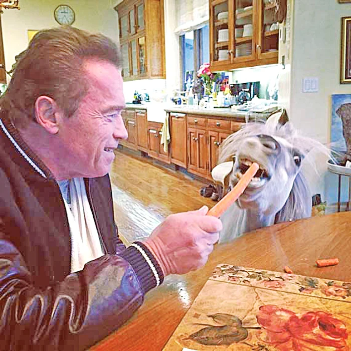 Îl hrăneşte din palmă  cu morcovi pe poneiul Whiskey