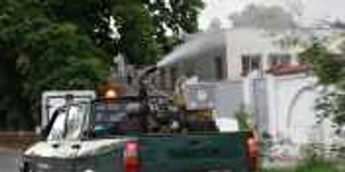 Dezinsecţia litoralului, necesară înainte de începerea sezonului turistic