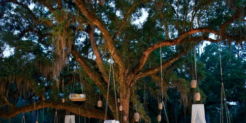 Balansoare de lux suspendate Sursă Shop mohd.it.jpg