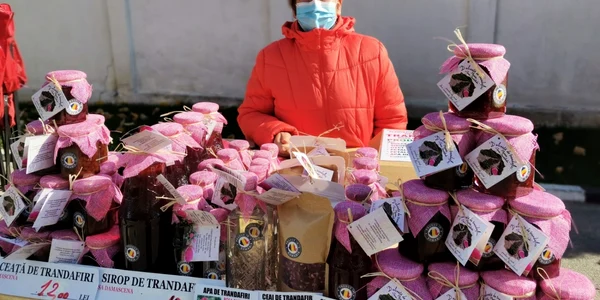 steal florescu - producător căsuţa trandafirilor - foto alina mitran 