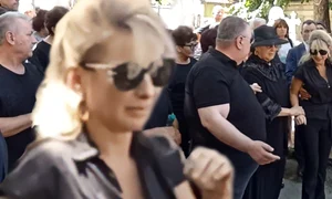 banner irina cernea jpg