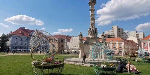 Timișoara, orașul florilor FOTO Ștefan Both