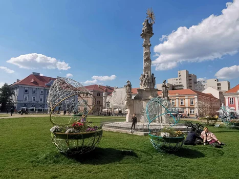 Timișoara, orașul florilor FOTO Ștefan Both