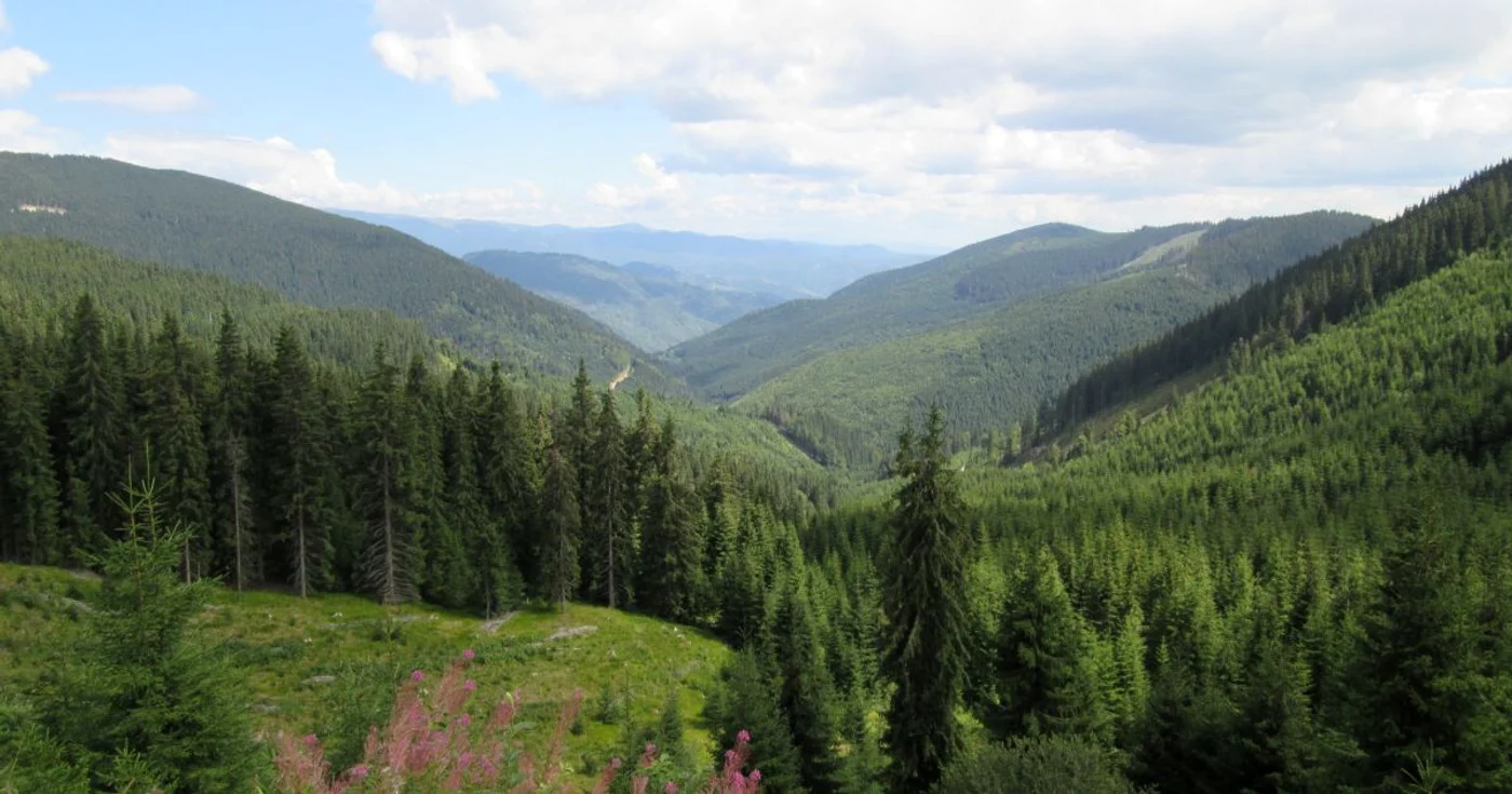 Peste 1000 de hectare de teren din Petrimanu, Galbenu si Puru ar putea reveni în proprietatea statului. Foto arhiva Adevarul