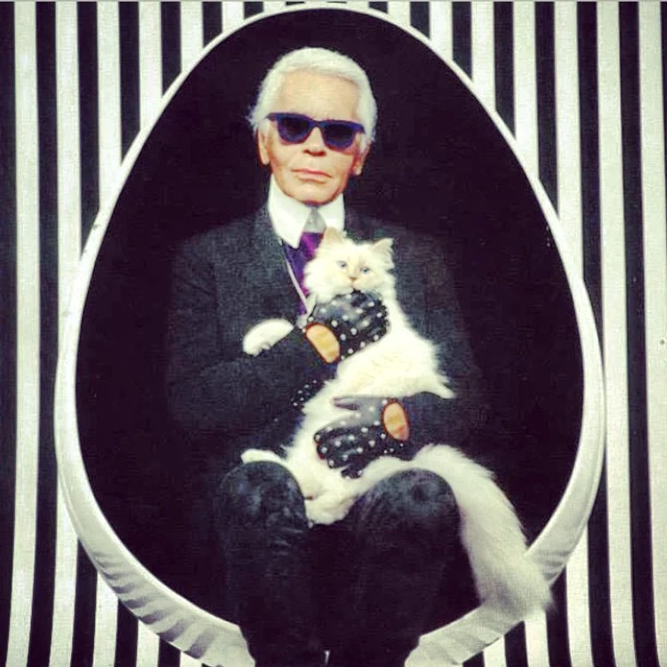 
    Cosmeticele pe care la foloseşte pisica lui Karl LagerfeldFoto Instagram  