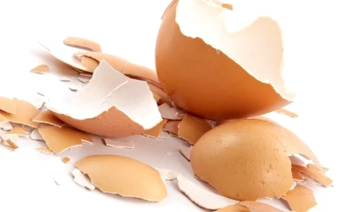 1 cum folosesti coaja de la ou pentru a trata tenul u6dh jpg jpeg