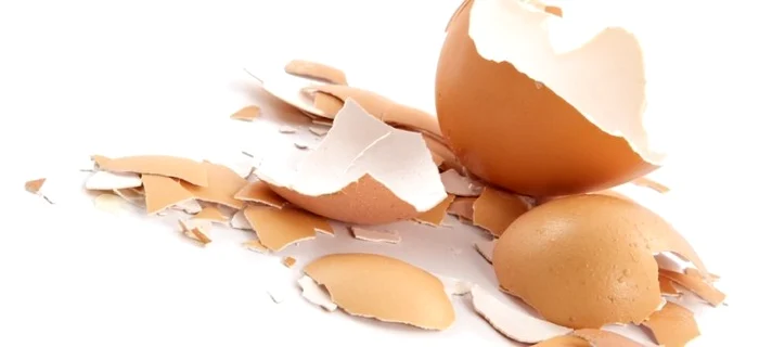 1 cum folosesti coaja de la ou pentru a trata tenul u6dh jpg jpeg