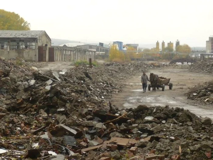 Fostul Combinat de Prelucrare a Lemnului arată dezolant, molozul şi resturile de vegetaţie împânzind zona FOTO: Bistriţeanul