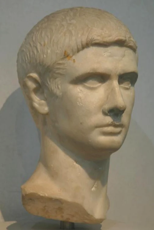 brutus palmas jpg jpeg