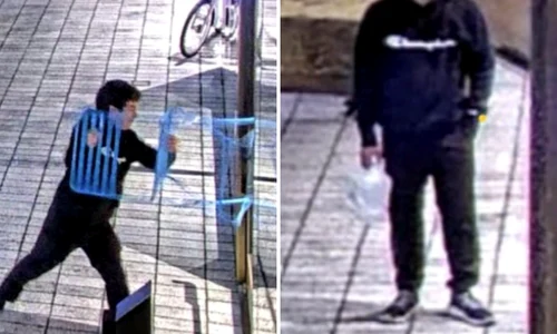 suspectul care a aruncat cu molotov in locuinta lui sam altman din san francisco foto x @Breaking911 png