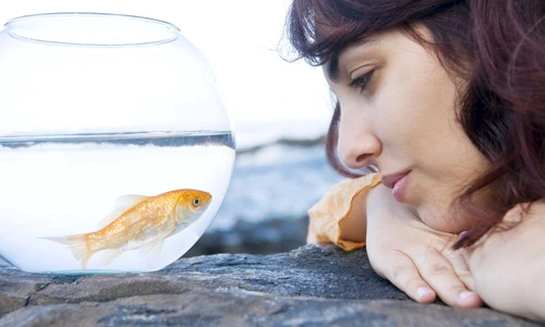 1 60253 original jpg jpeg