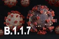 tulpina britanica coronavirus jpeg