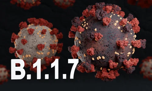 tulpina britanica coronavirus jpeg