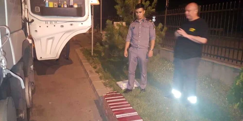 tigari ascunse sub capitonaj FOTO STPF Mehedinti 