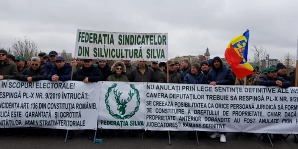 silvicultori
