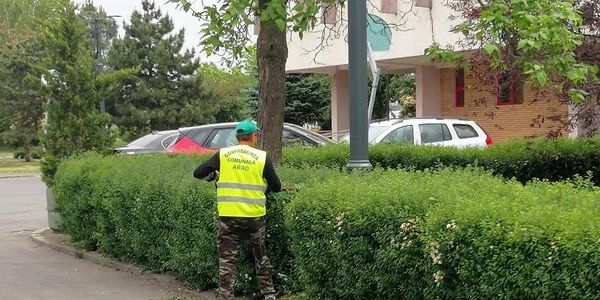 gard viu jpg
