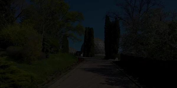 5eabf3675163ec42715149c8 jpg