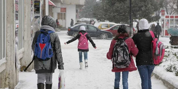 Cursurile sunt suspendate la patru scoli din Timis