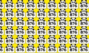 876iluzie optica jpg