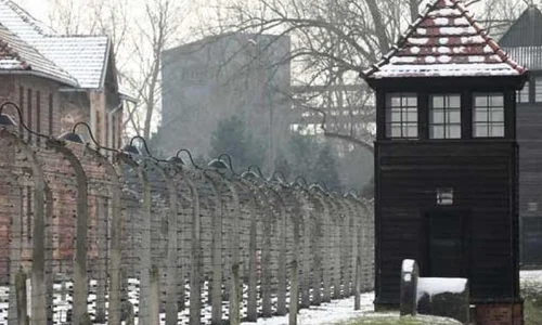 Ultimii naziști jpeg