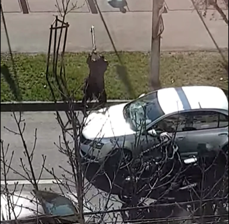 A aracat masinile înarmat cu o bâtă şi un topor   Foto: captură video Facebook