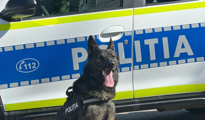 Bărbații au fost prinși cu ajutorul câinelui polițist Foto: IPJ Neamț