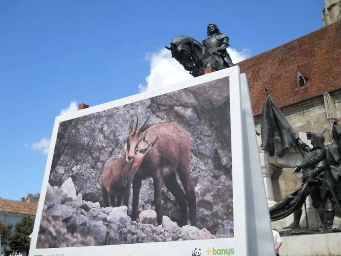 Imagini din expoziţia itinerantă a fotografului Dan Dinu. Piaţa Unirii din Cluj