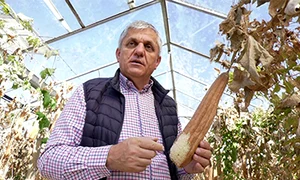 7 front dovleac pggoza mare copy jpeg