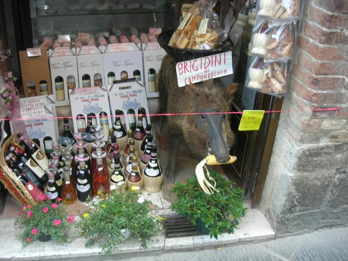 Moda vinurilor roze jpeg