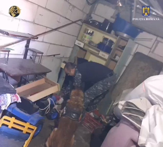 Adolescenți prinși când vindeau cocaină lângă o școală din Târgu Jiu. Ce au mai găsit polițiștii la perchezițiile ulterioare VIDEO 