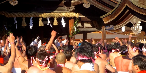 Konomiya Hadaka Matsuri   8 jpg