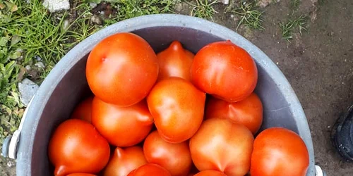 59918330 2259224867490299 2728811560322465792 n jpg