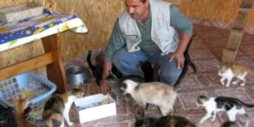 Bacău: „Hotelul“ cu 600 de câini şi 60 de pisici (GALERIE FOTO)