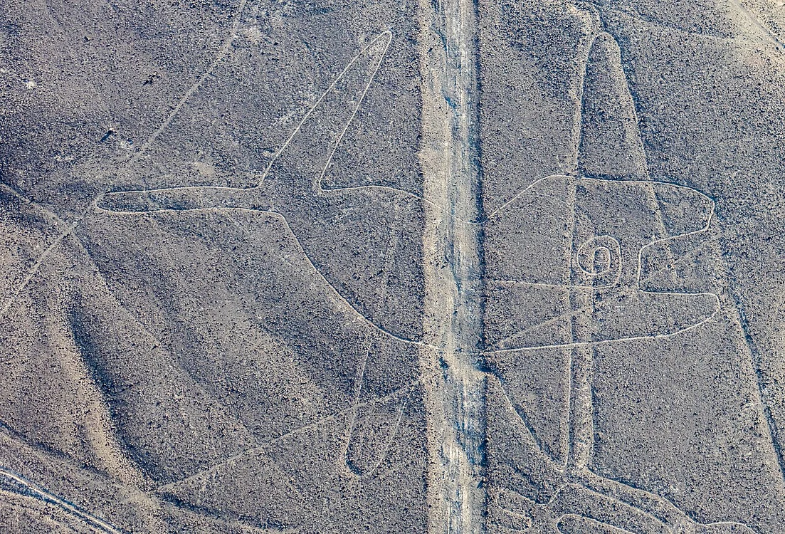 Liniile Nazca: balena (la ballena), în 2015