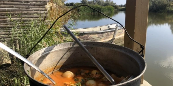 Delta Dunării ăşi aşteaptă oaspeţii FOTO