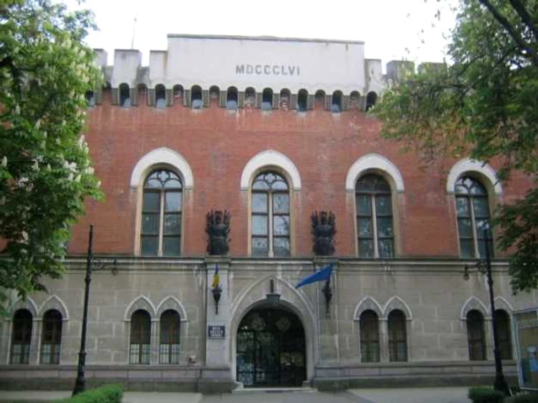 Castelul Huniade din Timişoara