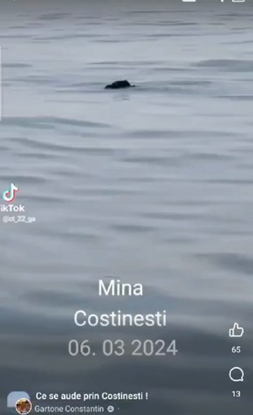 Pericol în Marea Neagră: mină marină descoperită la Costinești de un pescar VIDEO