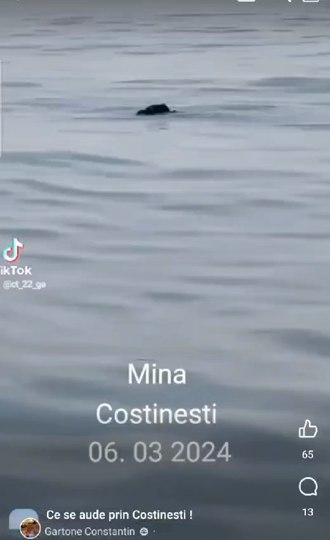 Pericol în Marea Neagră: mină navală găsită la Costinești de un pescar filmată. Pericol în Marea Neagră: mină navală găsită la Costinești de un pescar filmată.