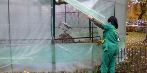 Adăposturile au fost izolate