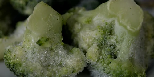 lada frigorifica congelat broccoli