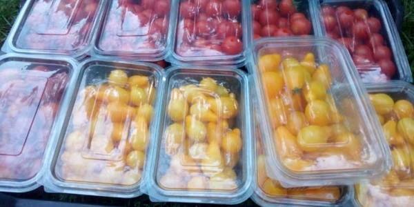 veronica gogot cultivă legume magice - foto arhiva personală