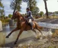 8 karpathia horse show 2018 7 jpg jpeg