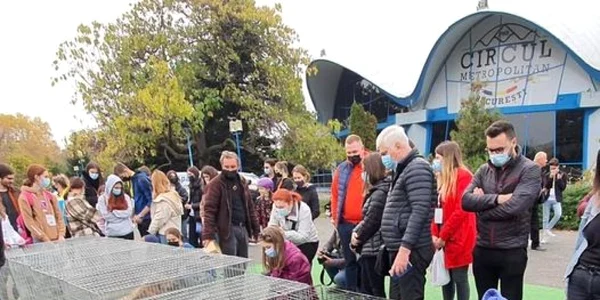  târgul de adopţii bucuresti foto facebook aspa