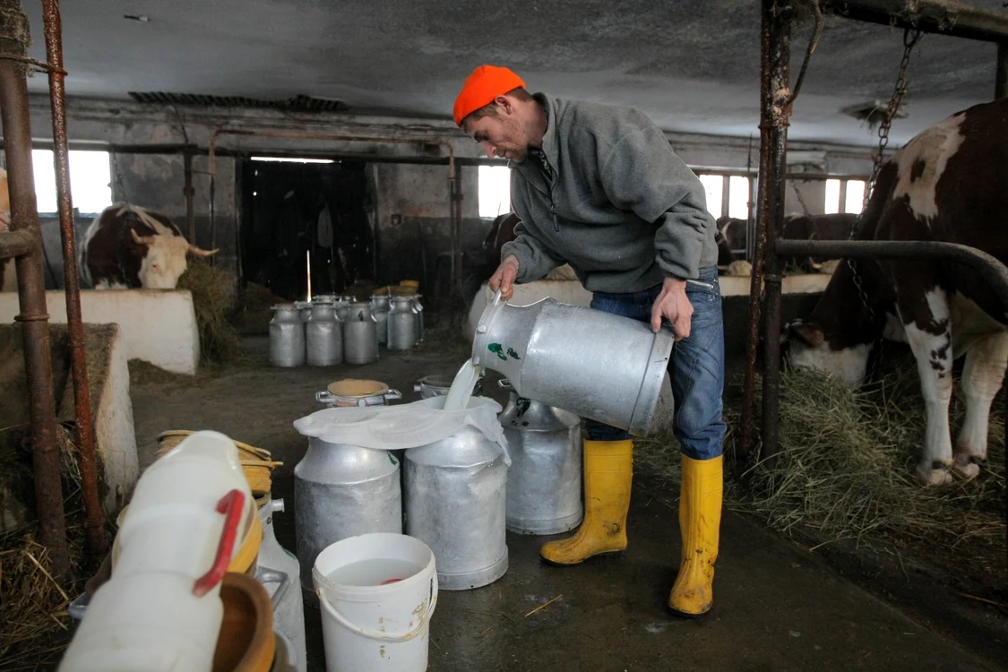 Tinerii care îşi deschid o afacere în mediul rural vor beneficia de finanţare nerambursabilă de la stat
