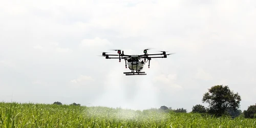 drona pulverizare foto pixabay jpg